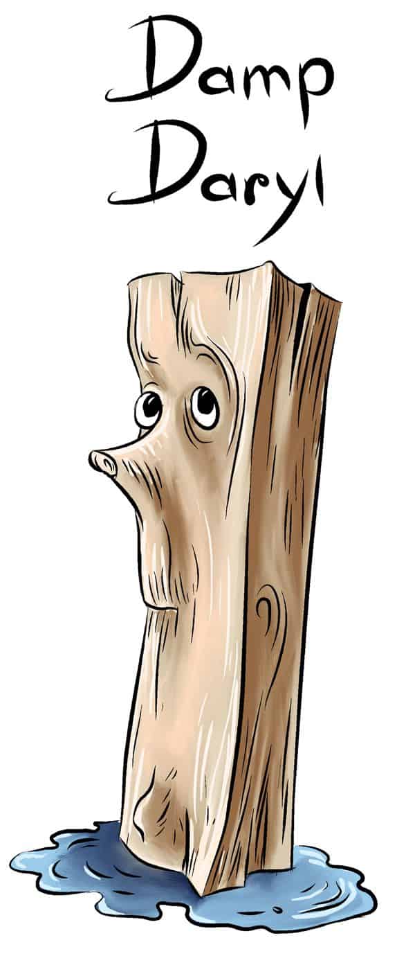 West End Firewood - Introducing Damp Daryl - Part of the "Dirty Dozen" of bad firewood to avoid.